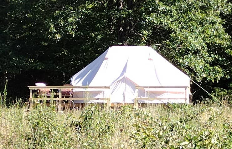 Happy Waterfall Pig Glamping Camp - Image 1