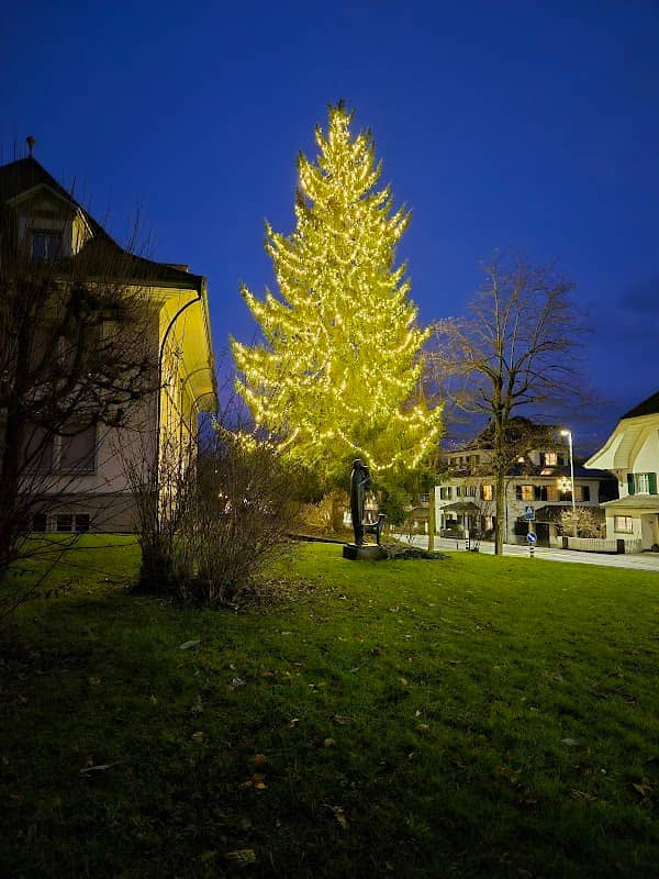 Weinachtsbaum Stetteln - Image 2