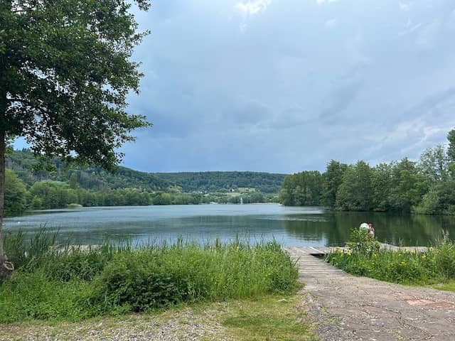 Bench - Image 1