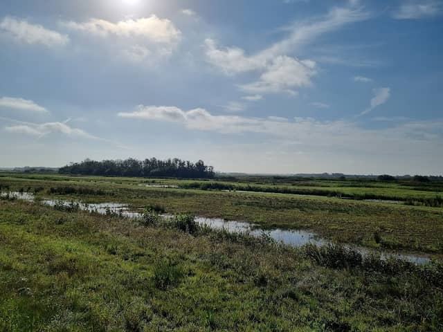 Moerasland - Image 1