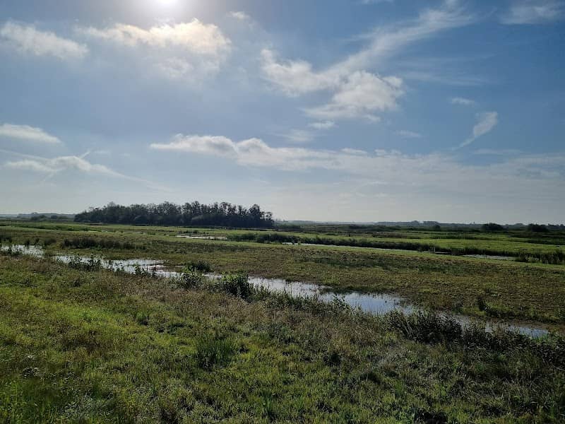 Moerasland - Image 1