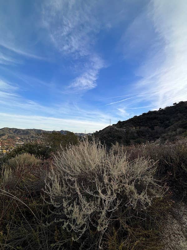 Verdugo Woodlands Open Space Preserve - Image 1