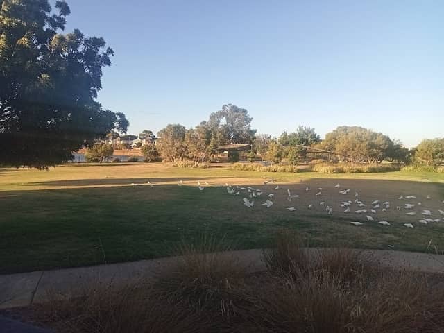 Greg's Park - Image 1