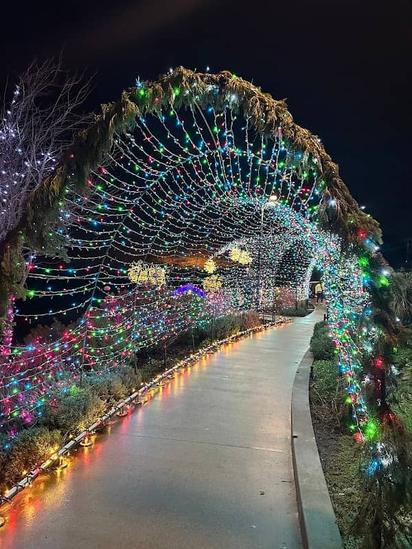 Bright Walk in White Rock - Image 1