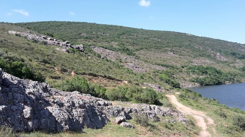 wooded Area - Image 1