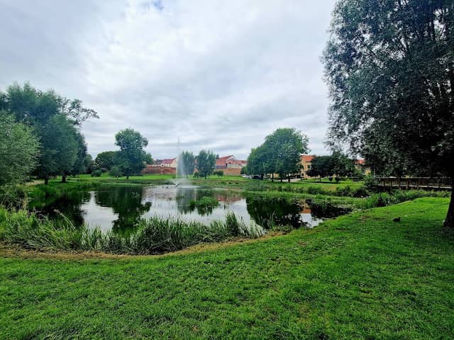 Brunnen Volkspark - Image 2