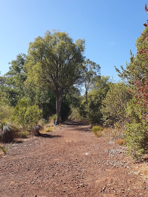 East Terrace Reserve - Image 1