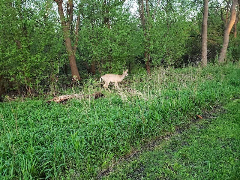 Callahan Grove - Image 1