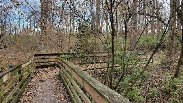 Wedgewood Park - Image 1