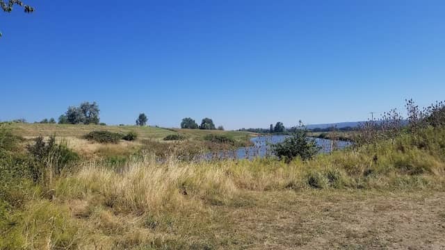 Sauvie Island Wildlife Area Eastside Viewing Platform - Image 1