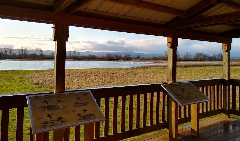 Sauvie Island Wildlife Area Eastside Viewing Platform - Image 2