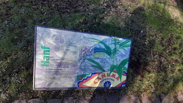 Papierpflanzen Pfad - Image 1