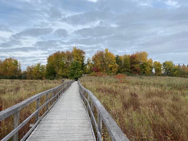 Cooper Marsh Conservation Area - Image 2