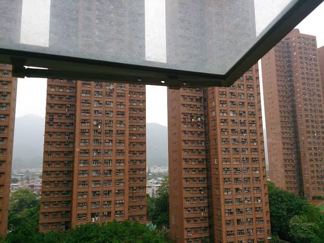Siu Hong Court Pond - Image 2