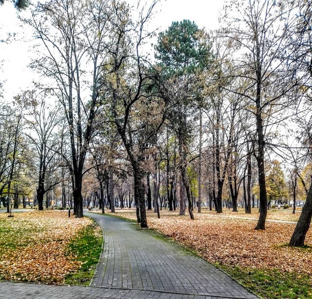 Bitola City Park - Image 1