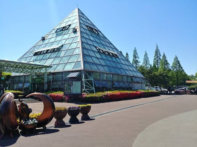 Ansan Botanical Garden - Image 1