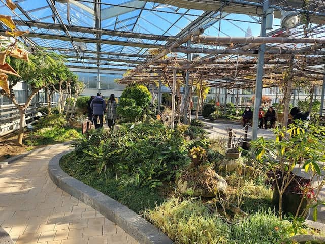 Ansan Botanical Garden - Image 2