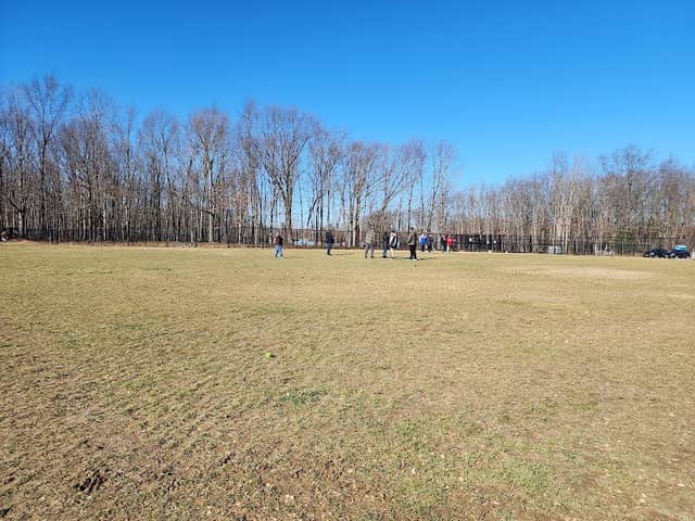 Owens Large Dog Park - Image 2