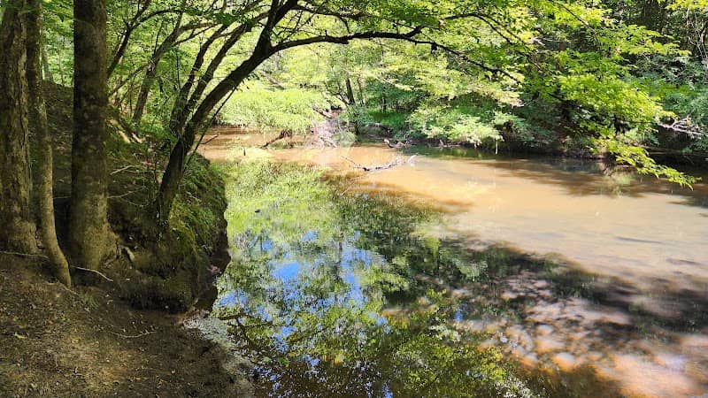 Medoc Mountain Picnic Area & Trailhead - Image 3
