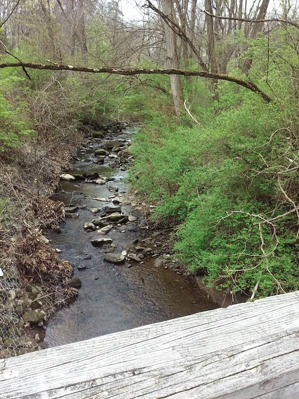Lower Bears Den Picnic Area - Image 1