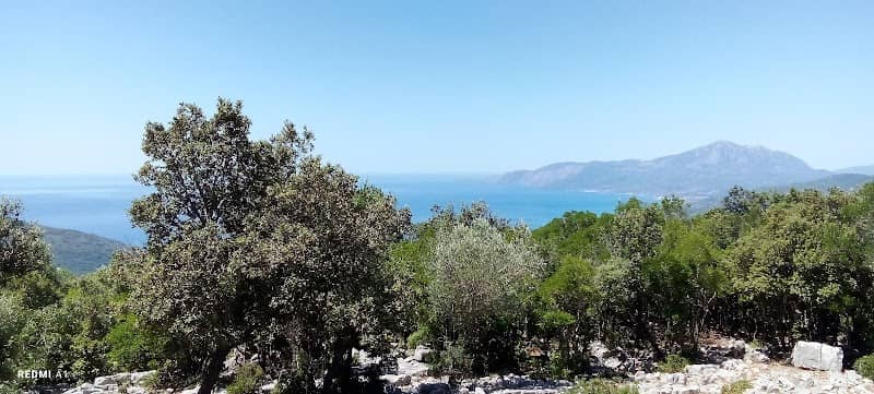 CAMMINO DI SAN NILO - Image 1