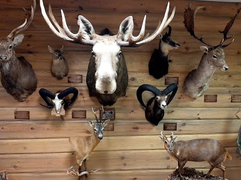 Hunting and Nature Museum - Image 1