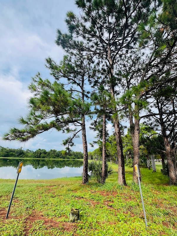 Midport Lake Neighborhood Park - Image 1