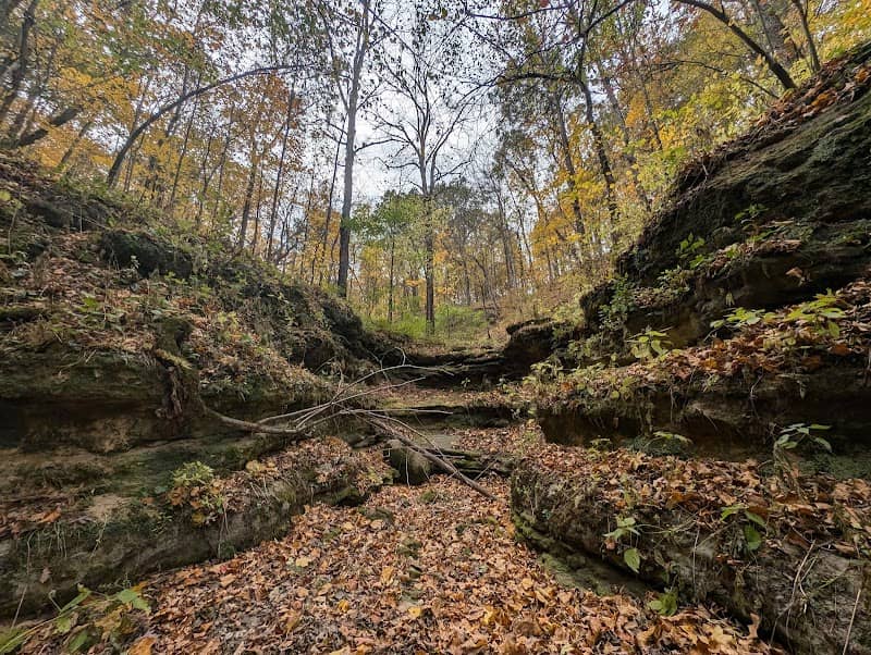 Plum Creek Woods State Natural Area - Image 1