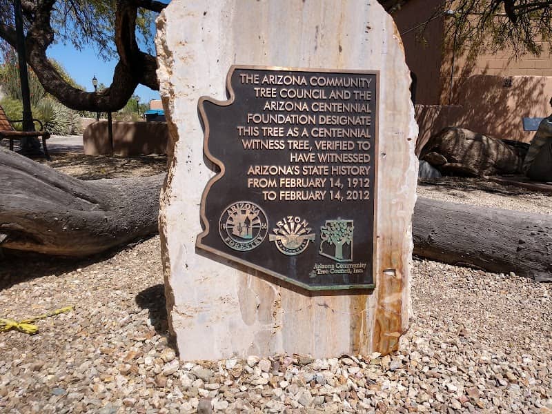 The Jail Tree - Image 2