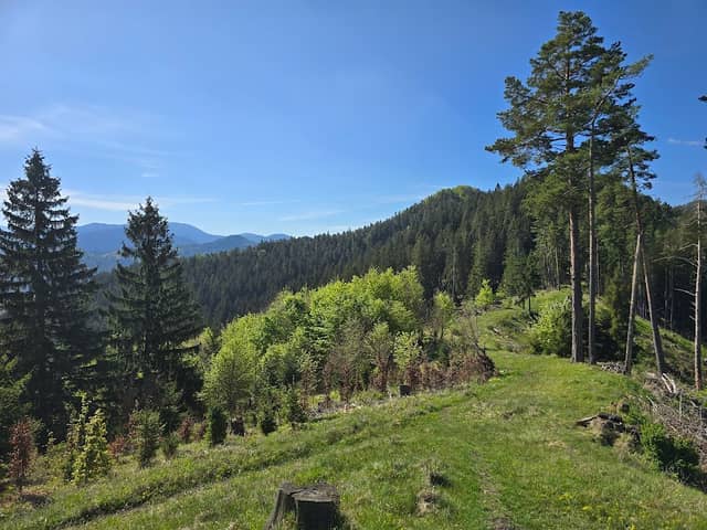 Punkt widokowy - Image 2