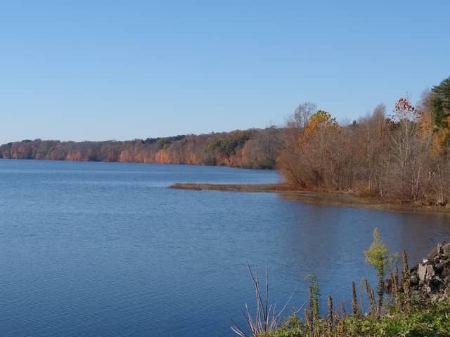 Bicentennial Park - Image 1