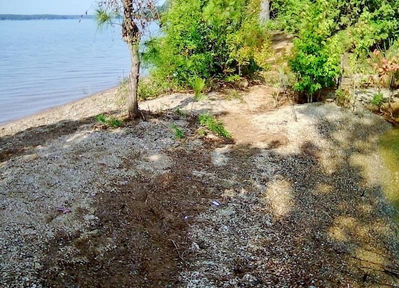 Monkey Island - Image 1