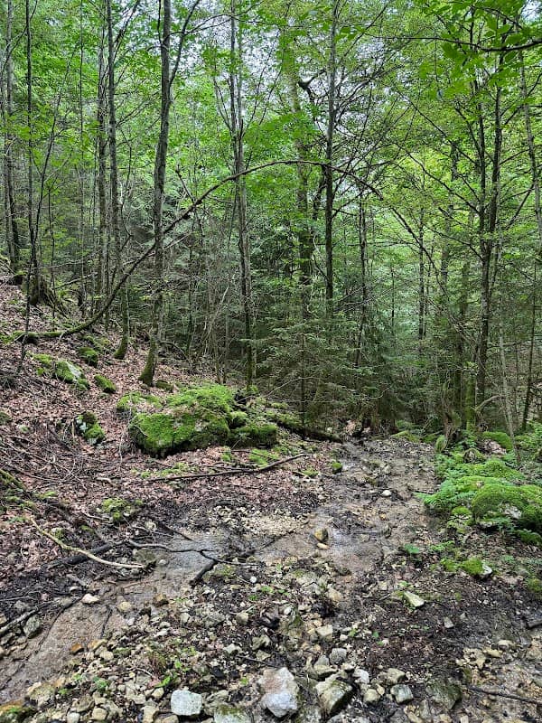 Gorges du Moinsel - Image 1