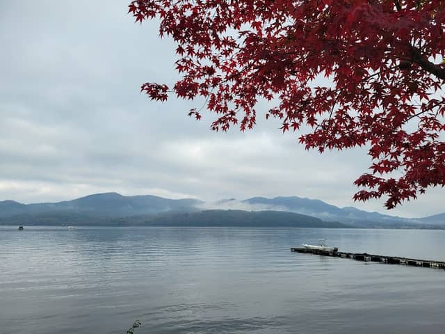 山中湖紅葉祭 - Image 3