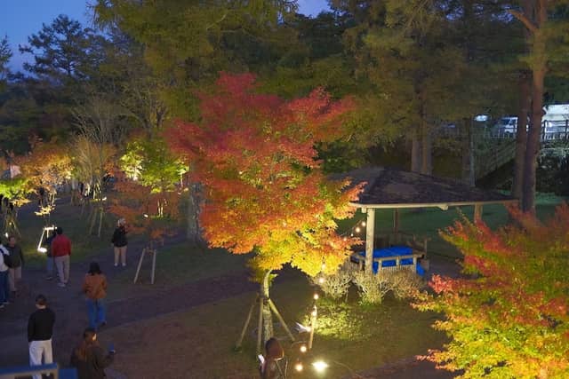山中湖紅葉祭 - Image 2