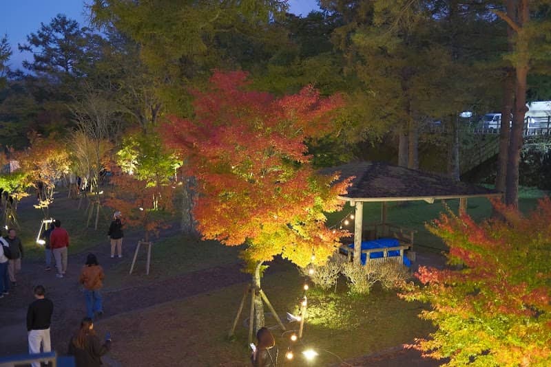 山中湖紅葉祭 - Image 2