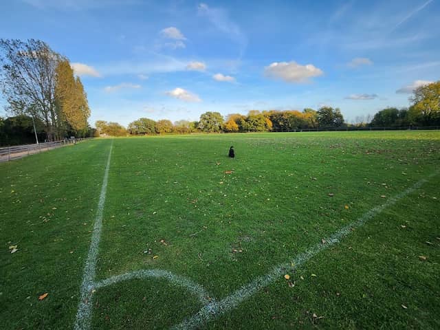 Stonards Hill Recreation Ground - Image 1