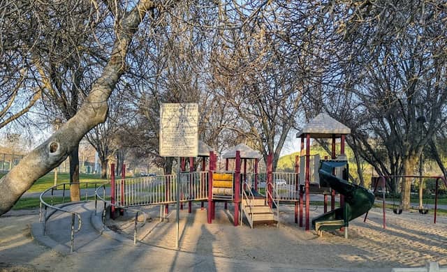 Jensen Family Grove - Image 2