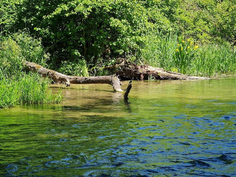 Mitterwasser - Image 2