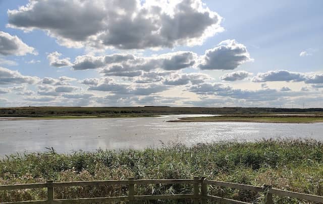 Old Saltings Point - Image 1