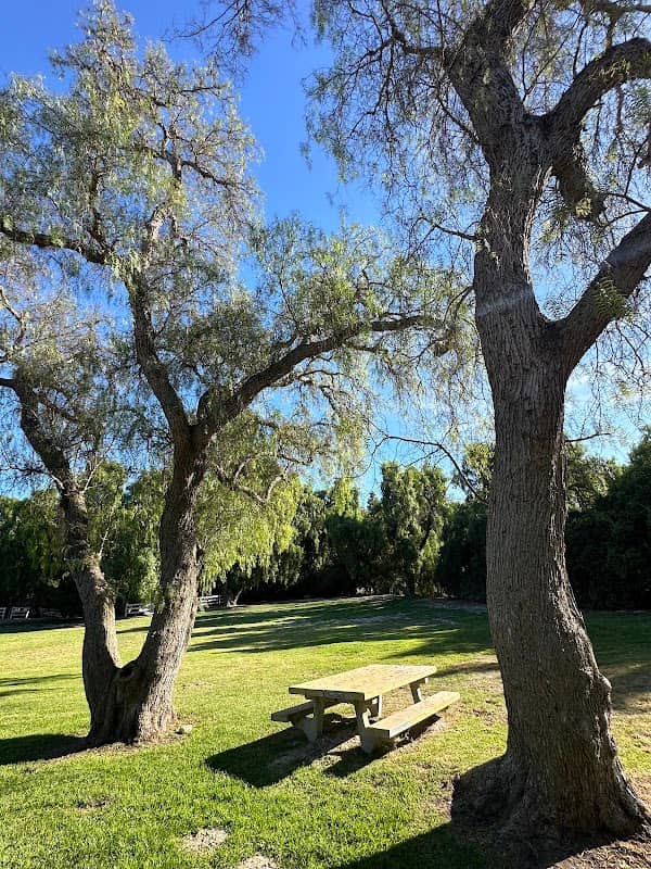 Chandler Park - Image 1