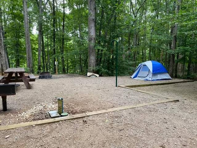 Lake corriher campground - Image 2