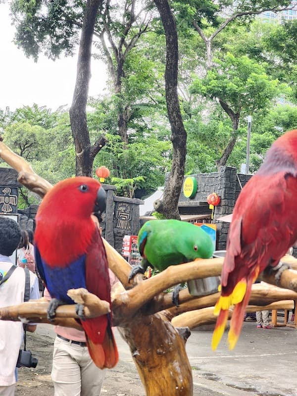 Jakarta Bird Land - Image 1