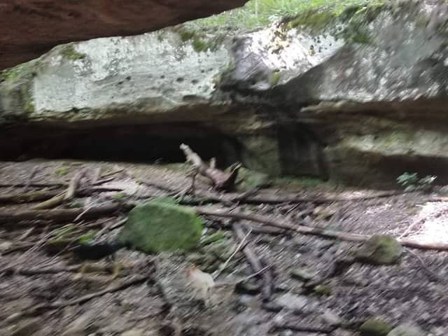 Nichols Knob - Image 3