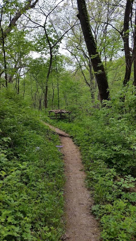 Wyandotte County Lake Shelter #5 - Image 1