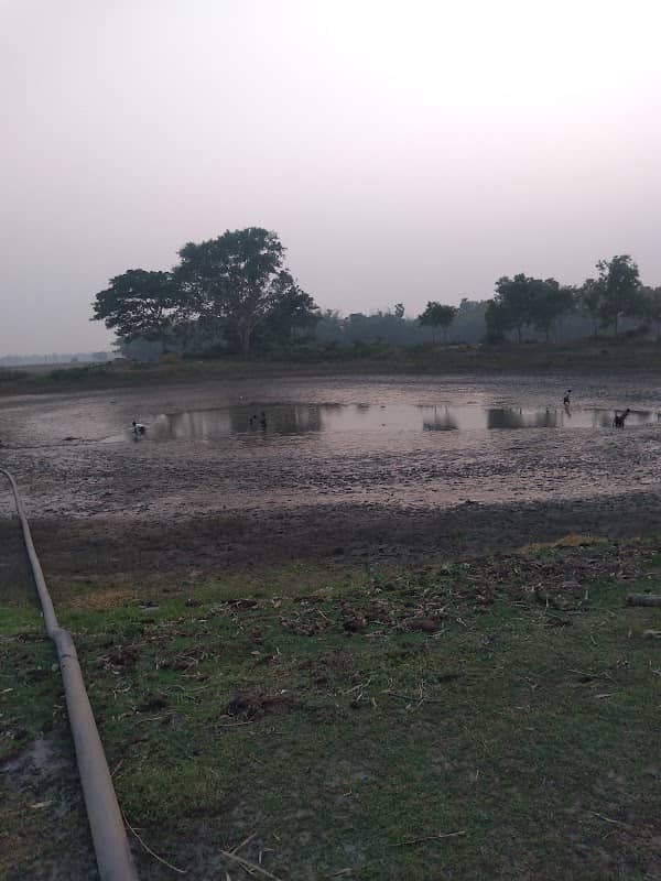 হাউর তালপুকুর - Image 2