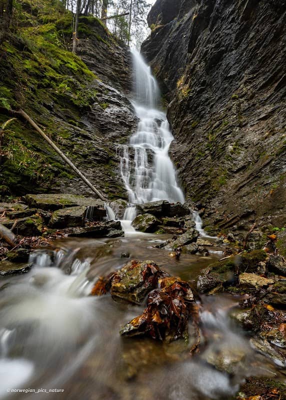 Gørrebekk - Image 1