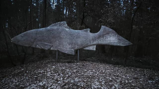 "Waldfisch" Kunstwerk - Image 2