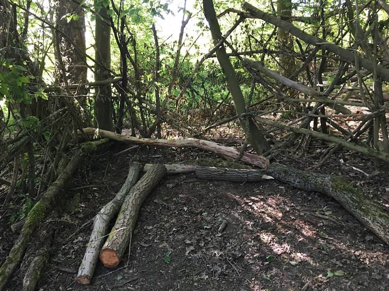 Wildnis für Kinder Hustadt - Image 1