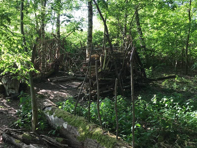 Wildnis für Kinder Hustadt - Image 2